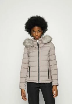 DKNY SHORT PUFFERS - Winter Jacket - Thiste
