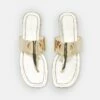 DKNY HALCOTT FLAT THONG - T-bar Sandals - Platinum -Bag Haven Store 8a621d6b30224a65abd4e55b4f6494fa