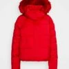 DKNY SHORT PUFFERS - Down Jacket - Red -Bag Haven Store aec08444143246c9ba7cfe1a6b3e82f9