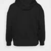 DKNY LAYERED SHADOW LOGO HOODIE - Sweatshirt - Black -Bag Haven Store b81319bea2ca40e68c0f64c13b45a5cf