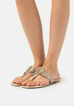 DKNY HALCOTT FLAT THONG - T-bar Sandals - Khaki